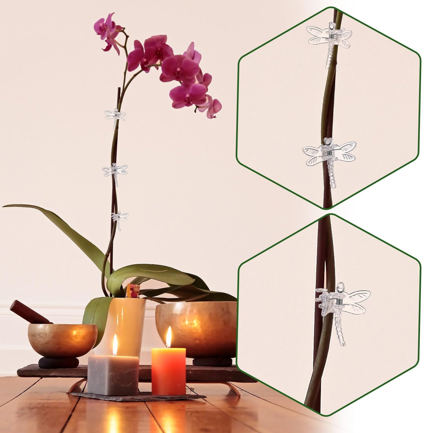 Wenqik 100 Pcs Orchid Clips Dragonfly Plant Clips for Plants Support, Portable Plastic Clear Garden Plant Support Clips Vine Clips for Orchid Climbing Plants