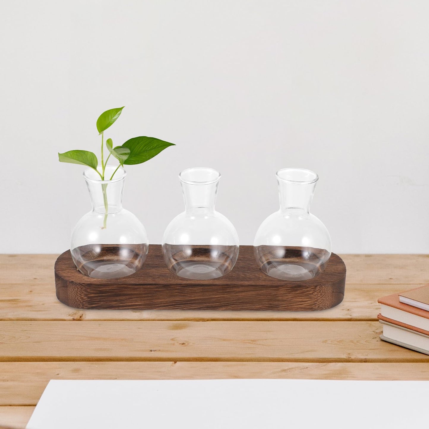 TINEASUR Glass Vase Set with Wooden Base, Hydroponic Green Plant Terrarium, Decorative Flower Vases for Office and Living Room Desktop, 3pcs Household Hyacinth Centerpiece
