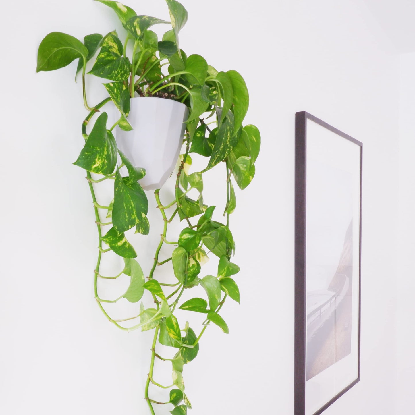 Make Good Virgo Wall Planters (Geometric, Set of 6) - Easy to Water and Install - Lightweight - Design Your Own Vertical Garden - Melamine Plastic