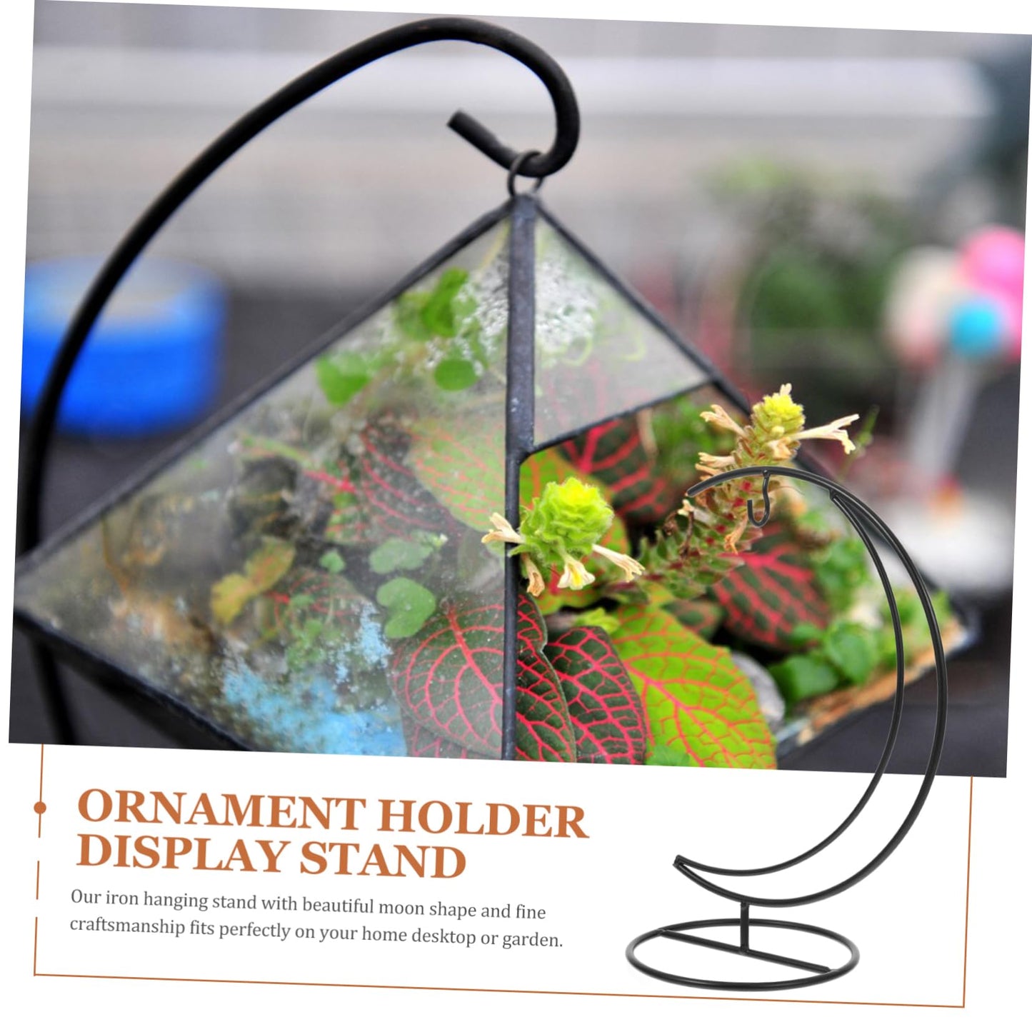 VOSAREA Hanging Glass Globe Holder Stand for Air Plants Sturdy Structure Moon-shaped Design Decorative Terrarium Display for Decor