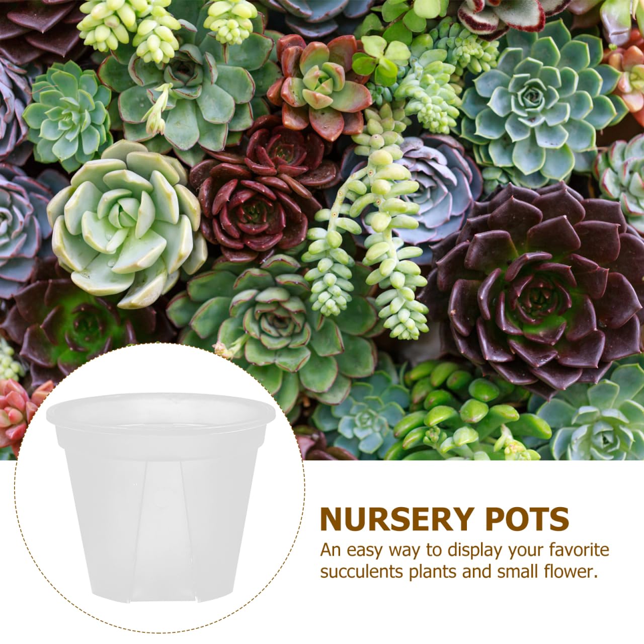Alasum Transparent Planter Pots with Drainage Holes 10 Pack Clear Plastic Nursery Pots 3.93X3.93X3.14In for Succulents Cactus Orchid Small Flowers Root Control for Home Office