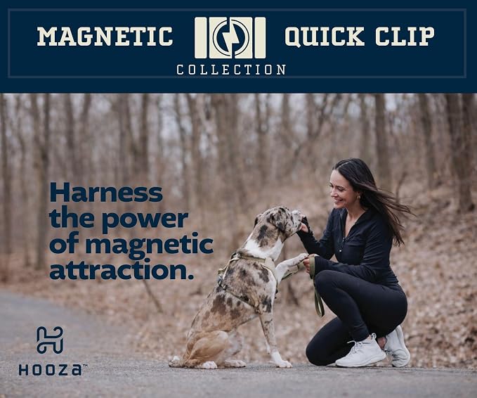 Quick Clip Dog Collar & Rope Leash Set, Blue Small – Magnetic Buckle, Reflective