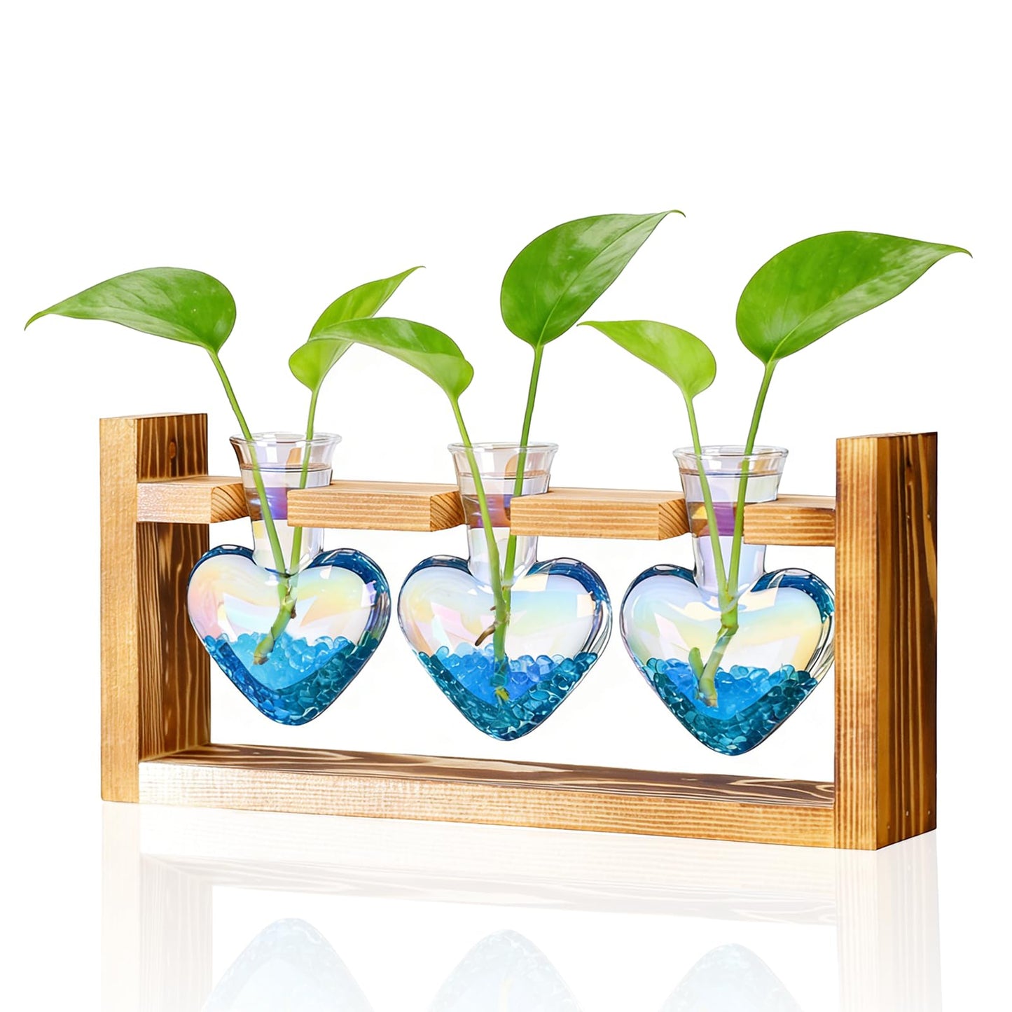 Nacome Plant Terrarium Propagation Stations: Mothers Day Gifts for Mom Plant Lovers Women Wife Daughter - 3 Bulb Glass Vase with Wooden Stand Tabletop for Hydroponics Home Garden Decor(Iridescent)