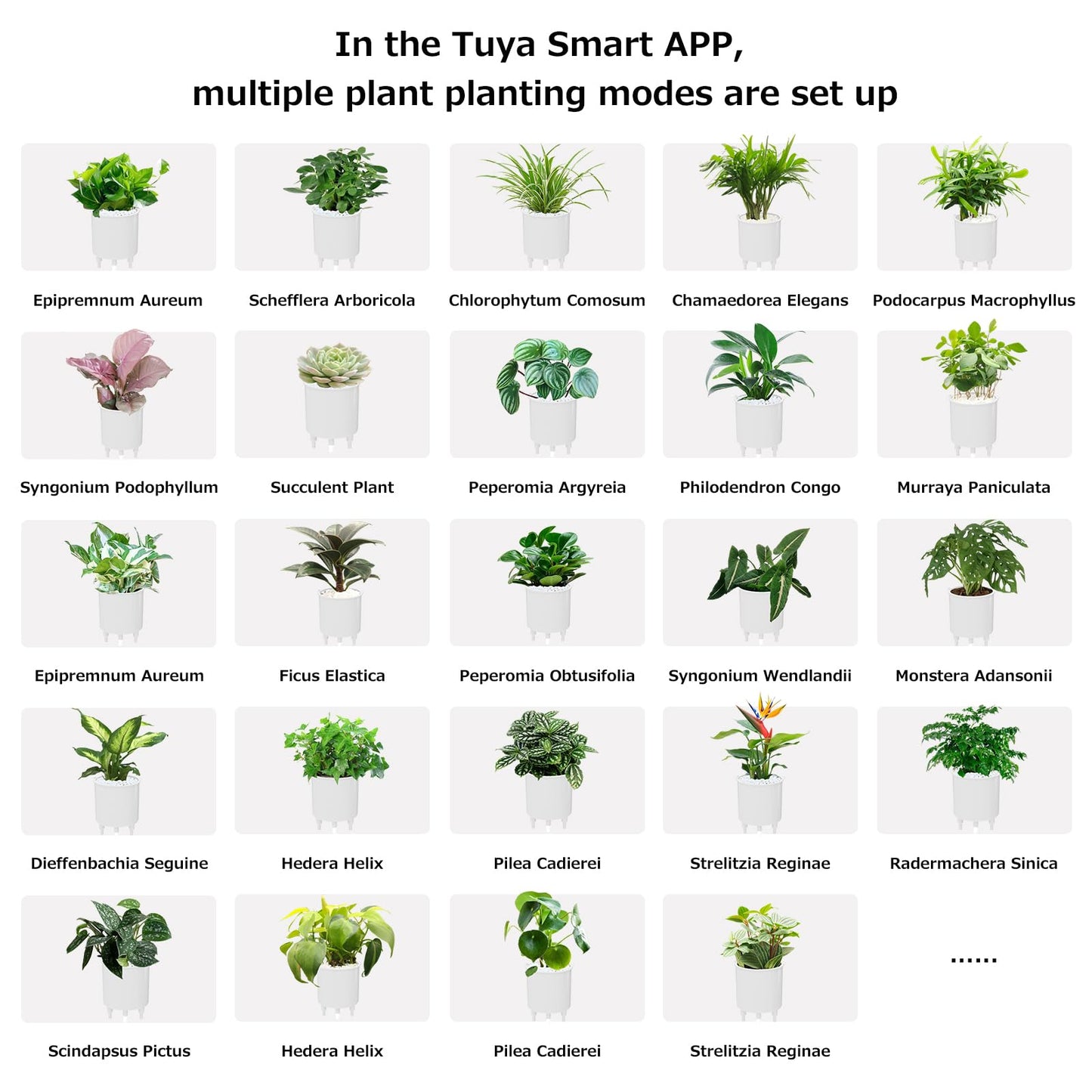 TPHRAVAL Intelligent Flower Pot, Electronic Bud, Maintenance Plant Assistant, Fun Interactive Flower Pot, Indoor Green Planting Monitoring, LCD Screen Display, Cell Phone APP Connection (White)