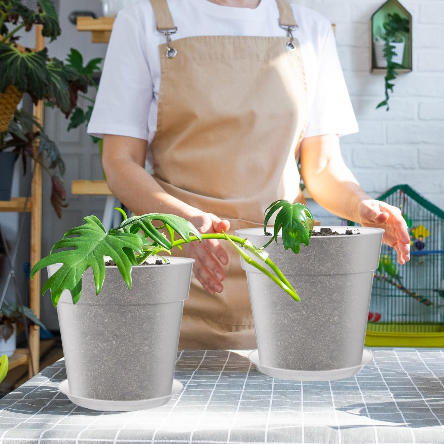 Baderke 3 Pack Clear Nursery Pot Plastic Nursery Pot Large Plant with Drainage Holes for Root Health Indoor Outdoor (9.25 Inches)