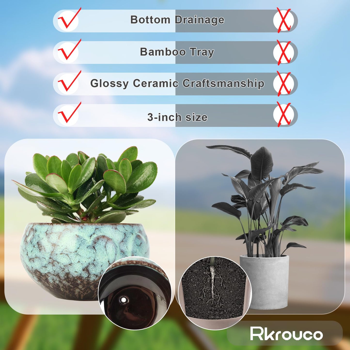 Rkrouco Ceramic Plants Pots 3 Inch Set of 4 Flower Pots with Drainage and Bamboo Tray for Indoor/Outdoor Small House Plants,Foliage Plant