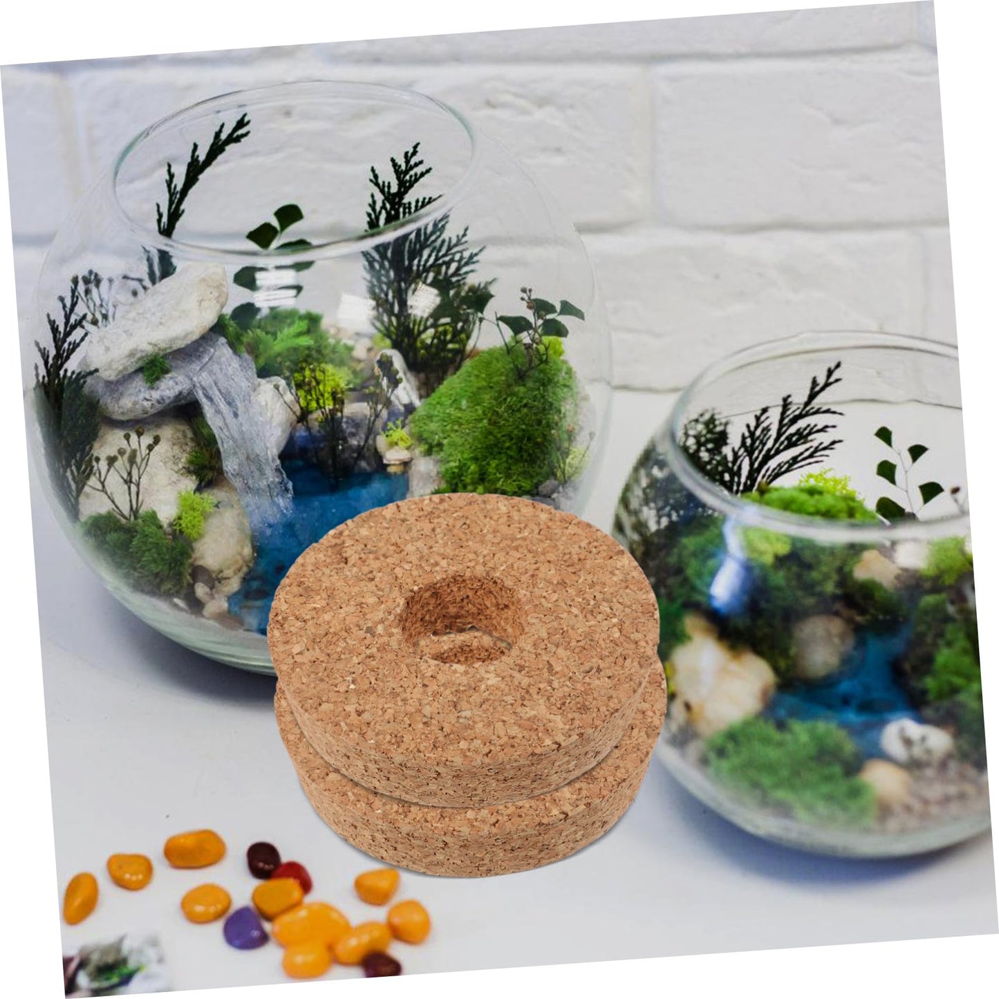 KESYOO 6 Pcs Hydroponic Glass Terrarium Vases with Cork Lids for Plant Propagation Flower Pot Stoppers for Indoor Decor