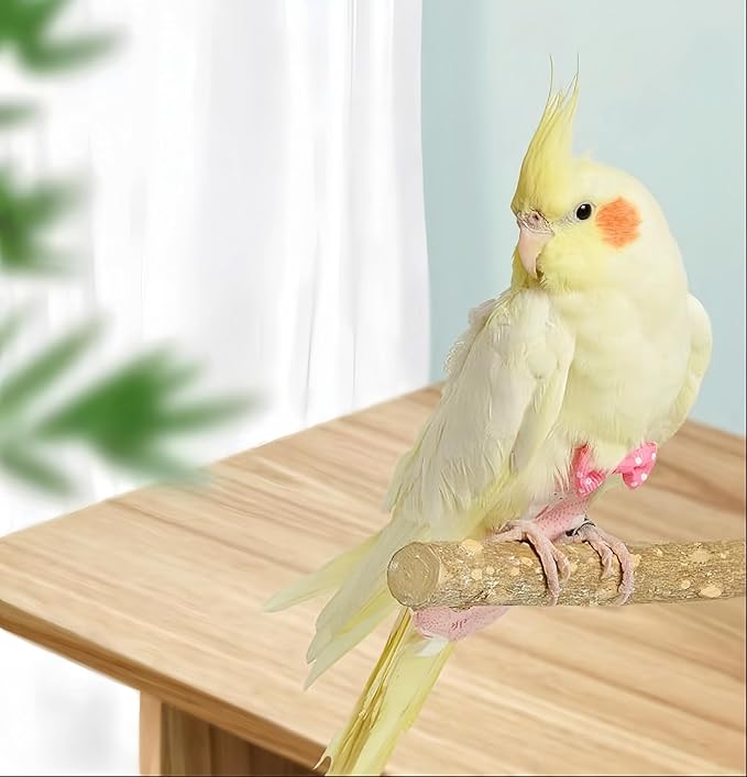2Pcs Bird Diapers Bird Harness Flight Suits Diapers with 80 Inch Flying Leash Parrot Nappy Washable Cute Urine Wet Suit for Cockatiel Conure Macaw Budgies Parakeet-Rabbit&Pineapple,S