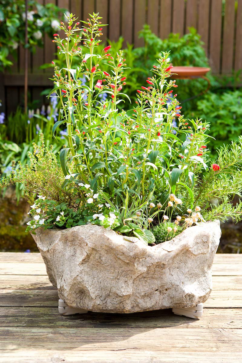Bosmere Pot Toes, Plant Pot Risers for Indoor and Outdoor, Prevent Stains and Rotting on Wood, Cement, and Tile - Dark Gray (Pack of 12)