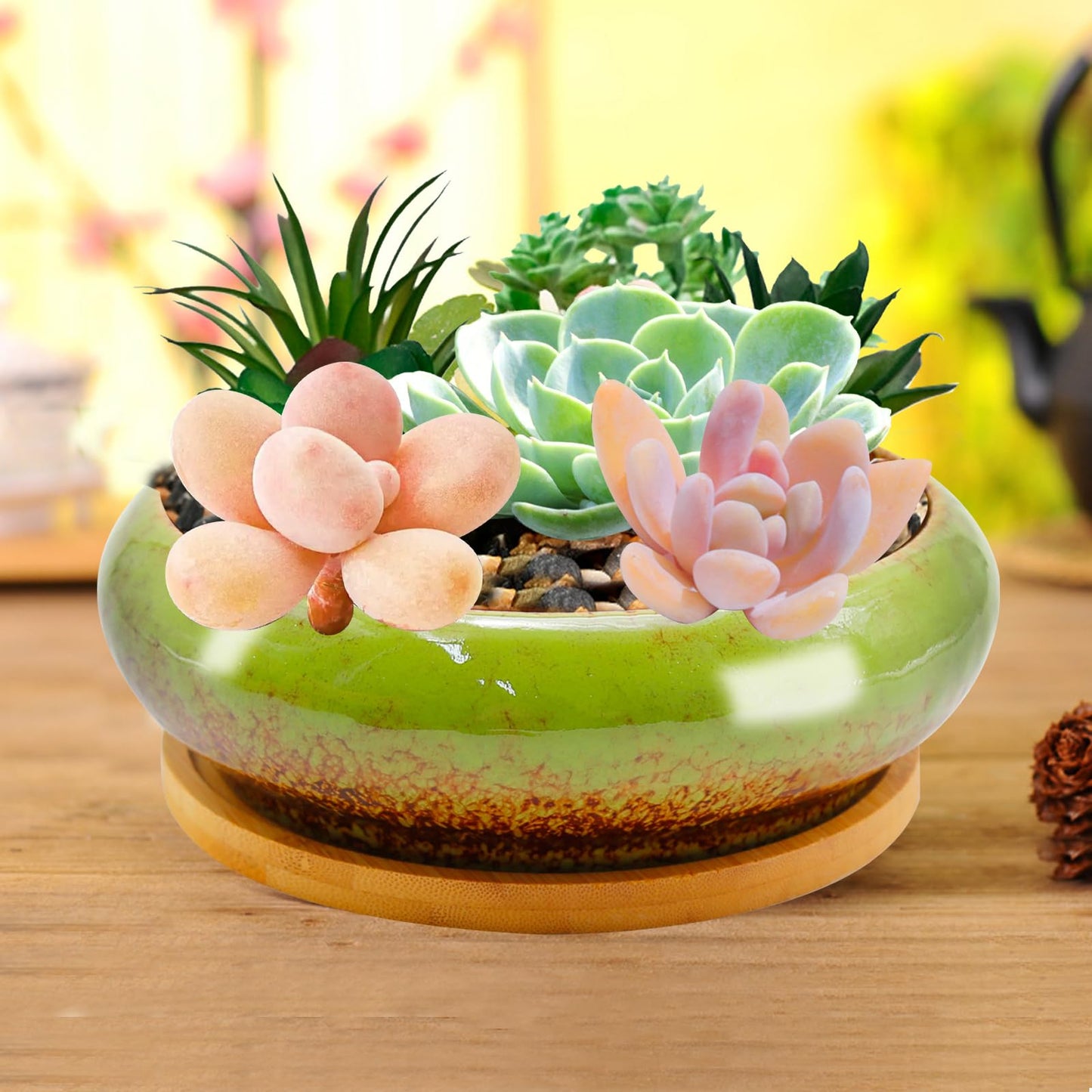 LIDSCURA 7.4 inch Ceramic Bonsai Pots with Trays Shallow Planters, Succulent Planters with Drainage Hole, Round Large Shallow Pots, Bonsai Pots Garden Decorative Cactus Stand Flower Container (Green)