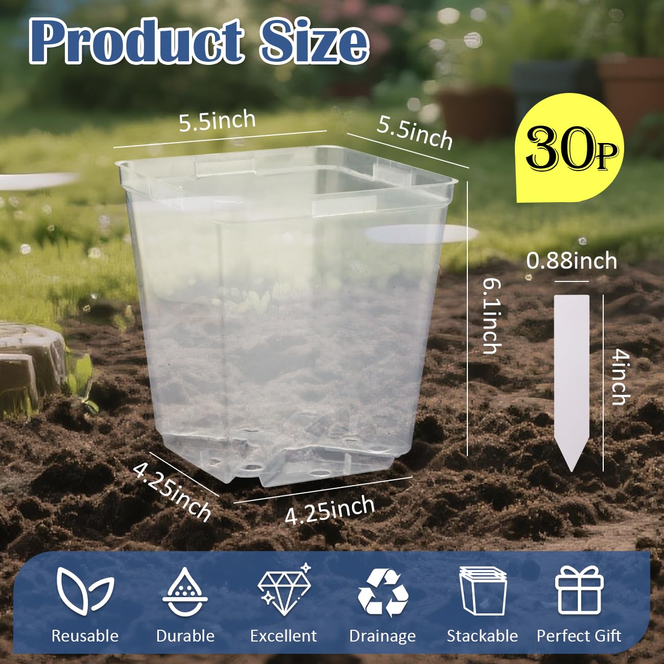 RooTrimmer 5.5 Inch Clear Square Nursery Pots with Drainage & Labels, 30Pcs Reusable Seed Starter Pots for Vegetables, Indoor Outdoor Gardening, Thick Transparent Plastic Plant Pots for Seed Starting