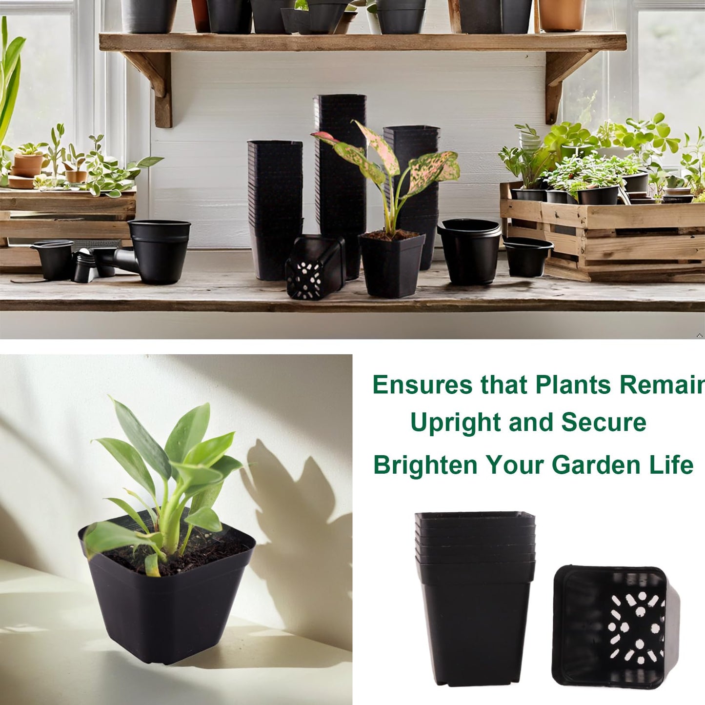 Tulpeed 100 Packs Square Nursery Pots for Plants 4 Inch Succulent Plant Pots Set Plastic Seedling Starting Pots with Drainage Holes Nursery Pots Variety Pack Flower pots Planter Seed Starter, Black
