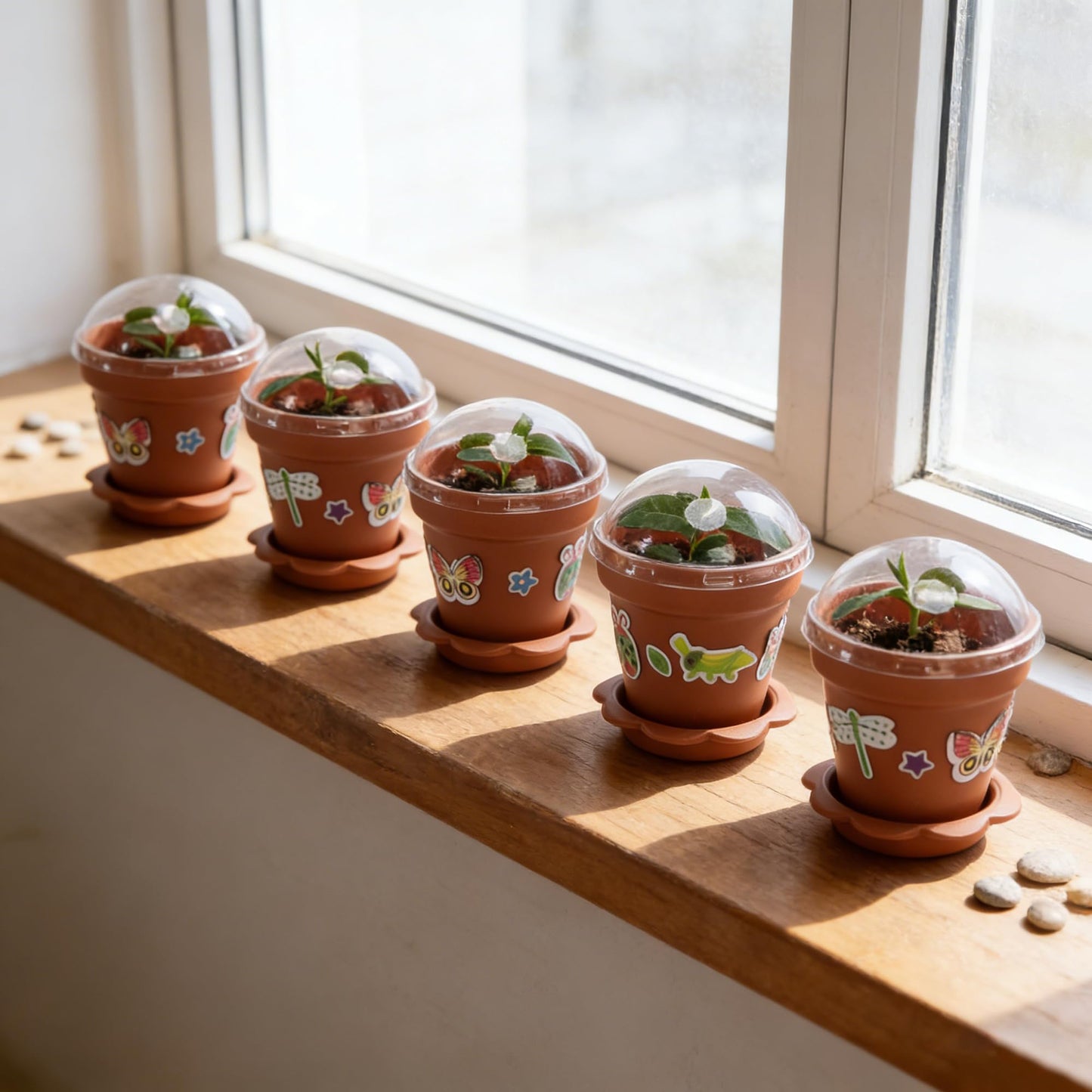 25 Packs Cupcake Plant Nursery Pots with Humidity Dome, Small Plastic Flower Plant Pots with 20 Sheet Stickers, Seeds Starter Pot Flower Planting Container for Seedlings Succulent Display (Wine Red)