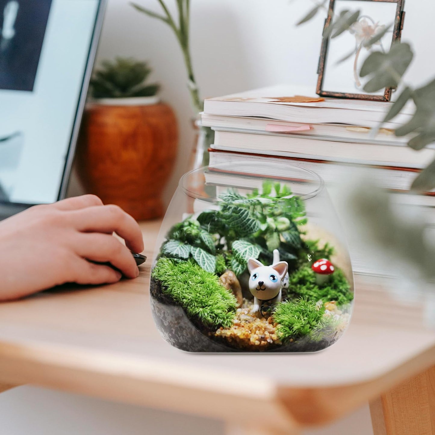 HOMSFOU Slant Cut Glass Terrarium Bowl 4.72 Inch Clear Micro Landscape Container for Succulent and Air Plants Home Office Wedding Decor