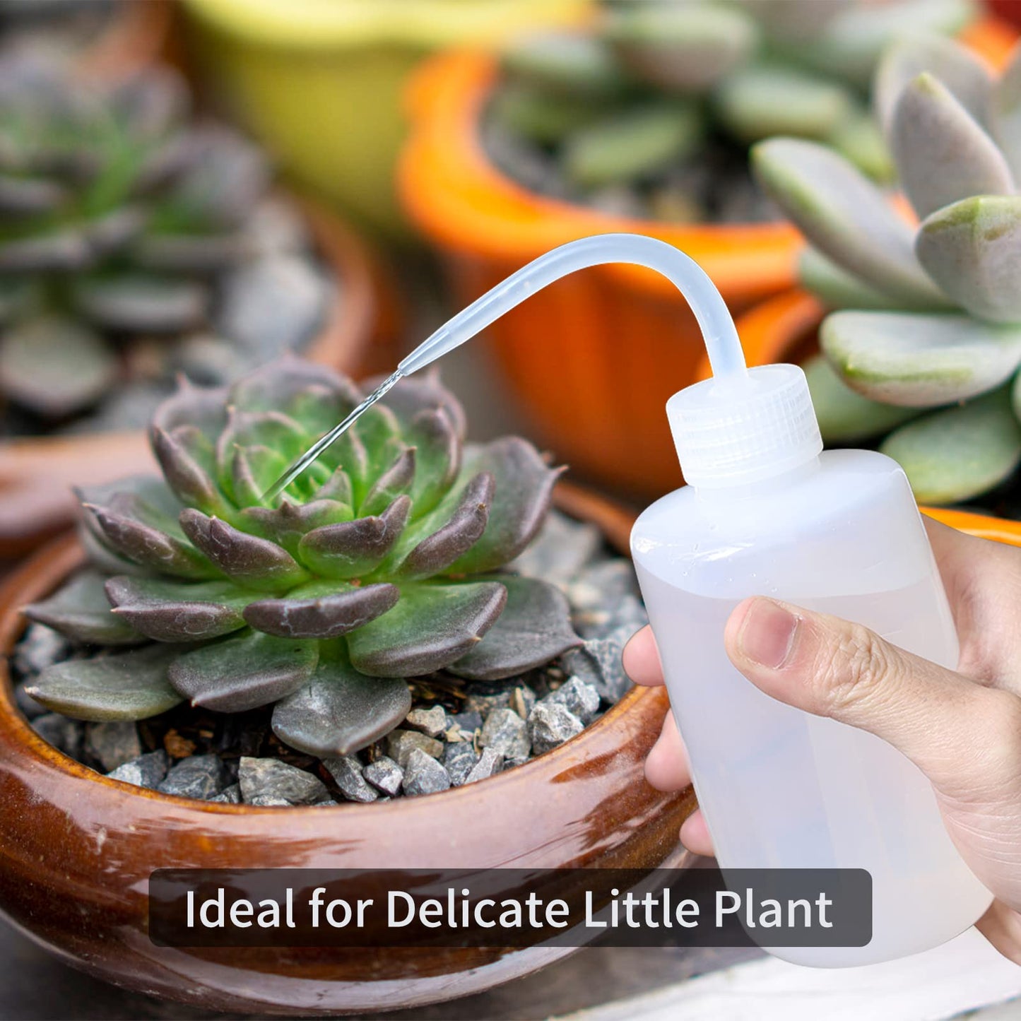 Goowin Watering Can Indoor Plants, 47 oz Long Spout House Plant Flower Watering Can, Creative Wide Opening Plastic Watering Can with 16 oz Spray Bottle & 8.5 oz Squeeze Bottle, Grey