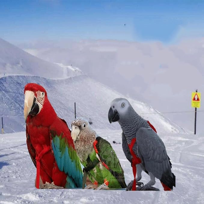 Pet Bird Harness Leash, Lightweight Bird Flying Harness Anti Bite Bird Harness Leash for Parrots Pigeons Lovebird Red