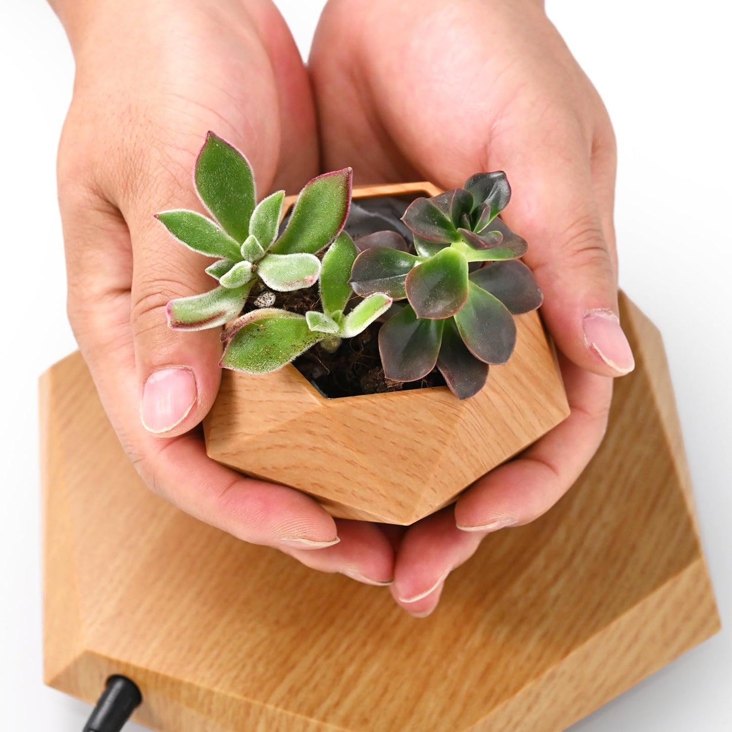 Leekimid Levitating Plant Pot, Magnetic Levitation Flower Pot Suspension Floating Plant Succulents, Air Bonsai Potted Plant for Home Decoration, Living Room, Office, Desk (Wood)