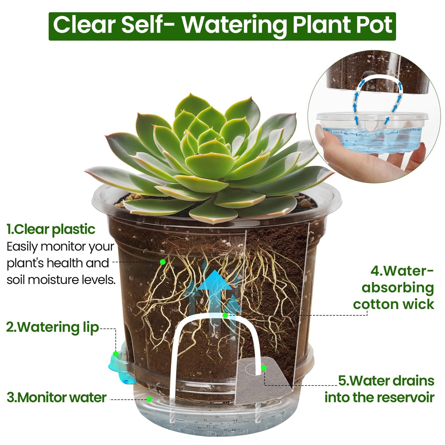 Bluepro 20 Pack 5 Inch Clear Self Watering Plant Pots with Bottom Water Tray & Watering Rope, Transparent Nursery Pots with Drainage for Seedlings, Herbs, and Houseplants