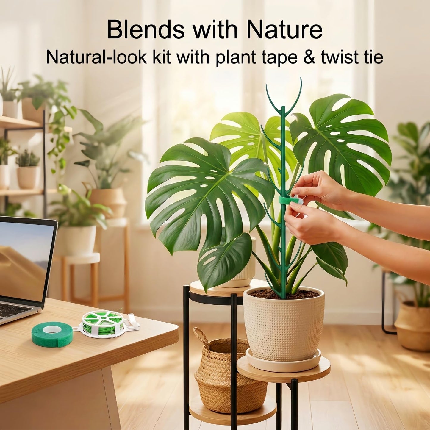10-Pack Monstera Plant Support Stakes - Stackable Sticks for Indoor Plants up to 25" - Outdoor Garden Poles & Trellis with Tape & Twist Tie for Climbing Vines