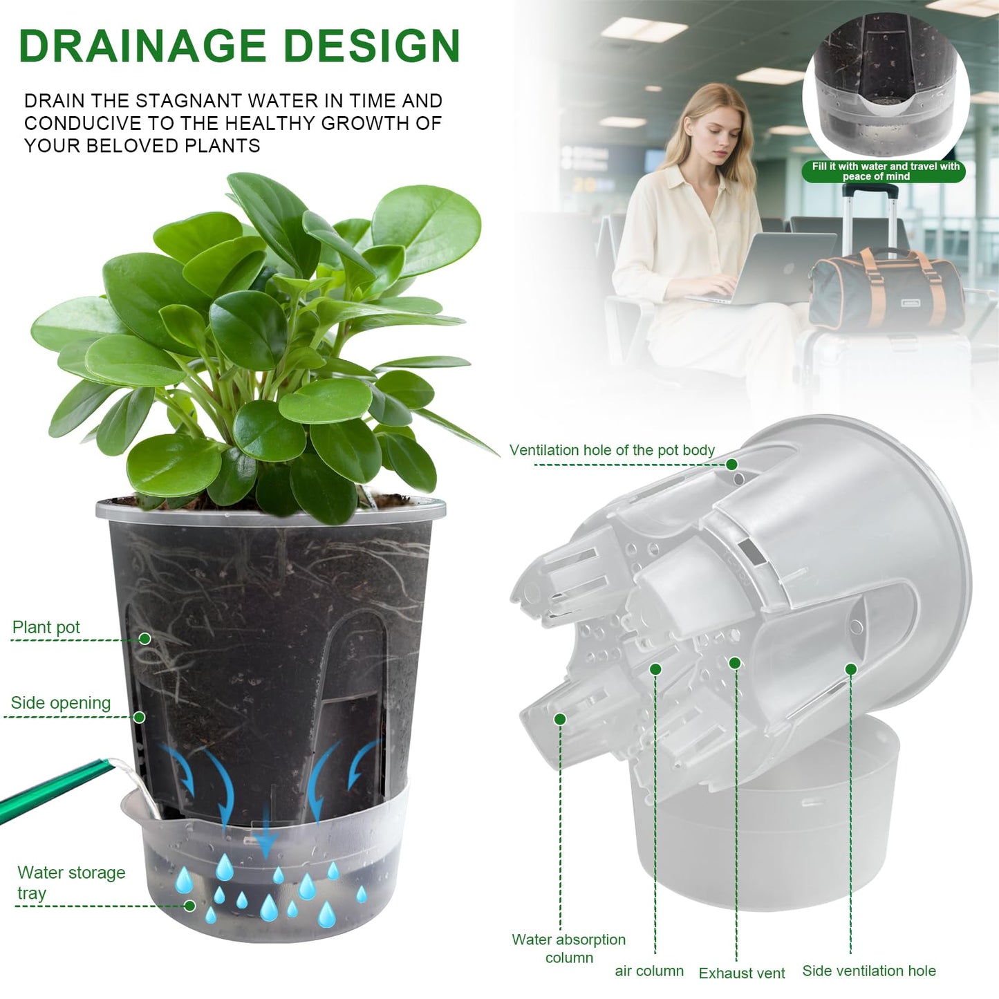 Cdd's Path Upgraded 5-Pack 6 Inch Naked Root Planter Self Watering Pots Set, Plant Pots with Holes for Indoor/Outdoor Plants with Watering Hole/Reservoir and Air Pipes, Clear
