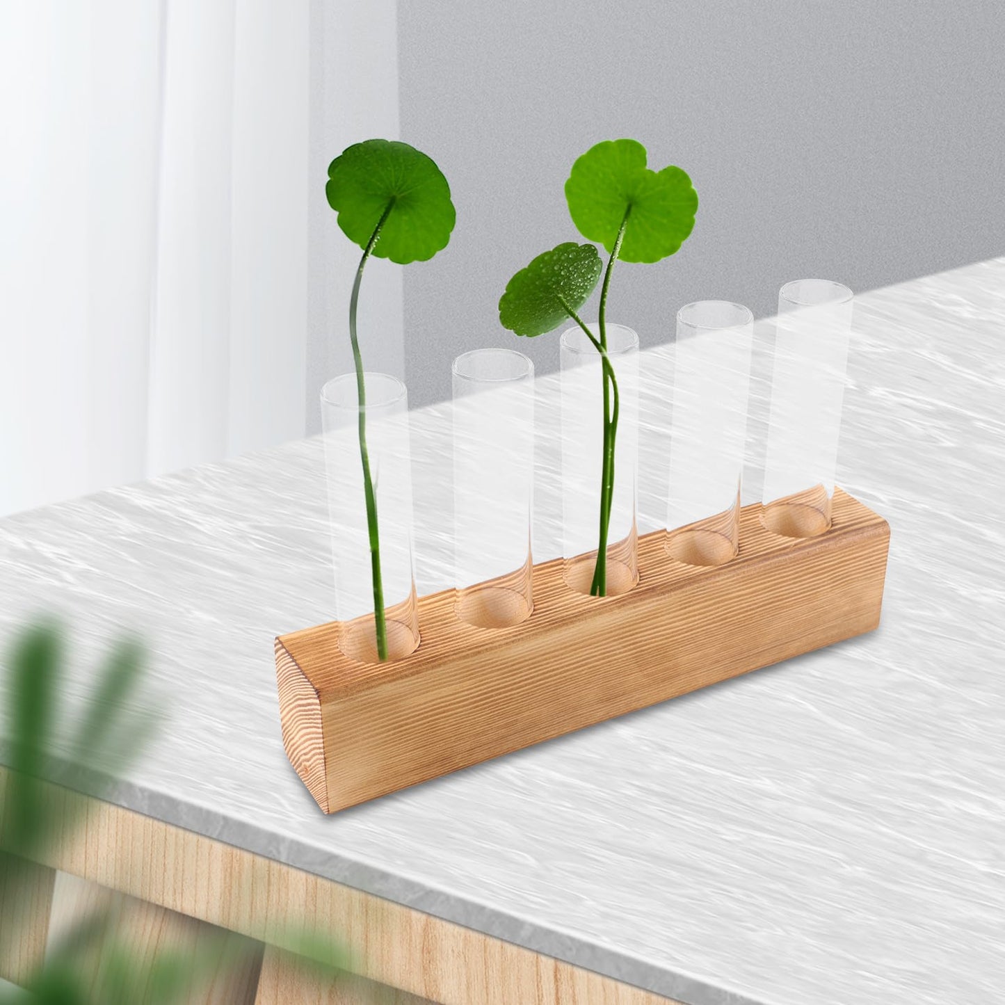 SEWACC Hydroponic Glass Planter Vase with 5-Hole Wooden Base, Plant Terrarium for Indoor Propagation and Home Office Décor, Glass Bud Vases for Desktop Hydroponics