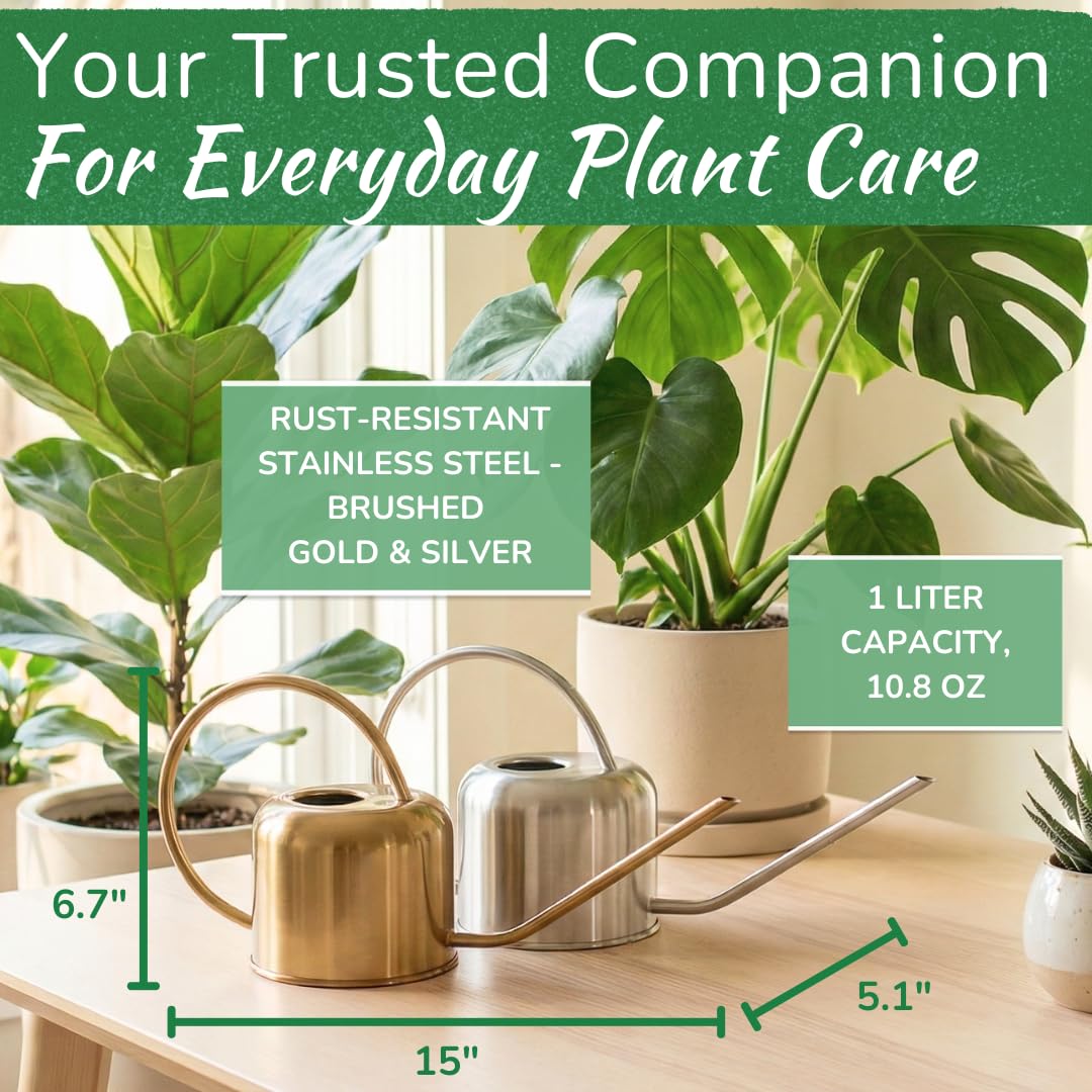 Stainless Steel Watering Can for Houseplants by Houseplant Resource Center | 1L Capacity for Indoor/Outdoor Plants in Brushed Silver