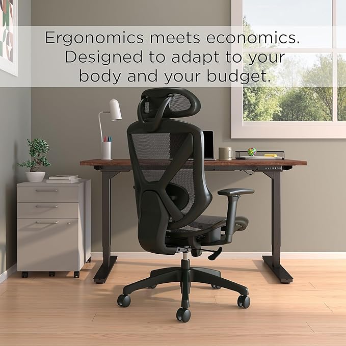 Staples Dexley Ergonomic Task Chair, Lumbar Support, Adjustable Height