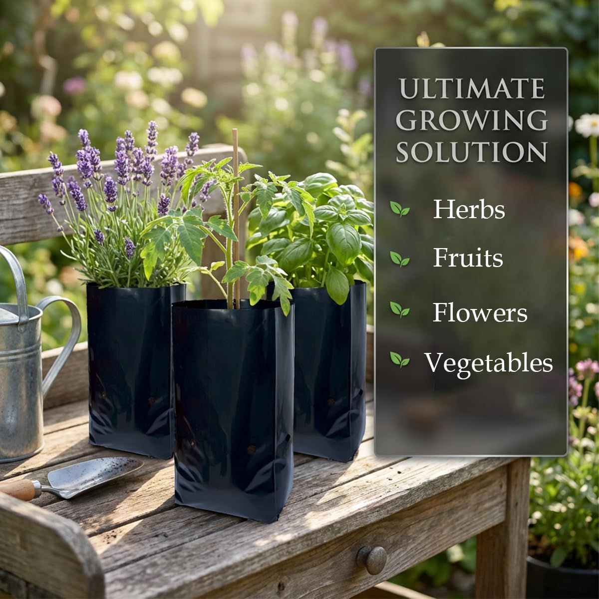 gardtree 100 Pcs Thicken Plastic Plant Nursery Bags 5.5" x 9.3", Grow Bags for Fruit Trees, PE Seedling Pots, Nursing Growing Pouch, Ideal for Flowers, Vegetables, Fruit, Starting Saplings