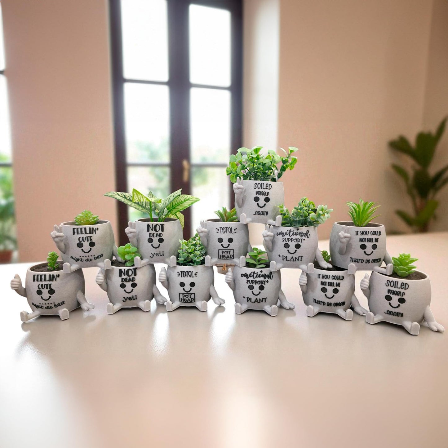 Funny Face Indoor Head Planter Pot, 3D Printed, Unique Small Succulent Flower Pot, Cute Cactus Planter, Indoor Home Decor, Office Desk Plant Pot, Novelty Gardening Gift Set