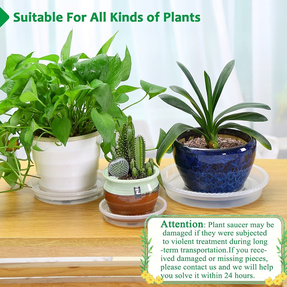 FHWTY 8 Pack of 7 inch Clear Plant Saucer Drip Trays, Plant Tray for Indoor and Outdoor Plants, Thicker & Sturdier & Durable Plastic Plant Saucers Plant Accessories Indoor