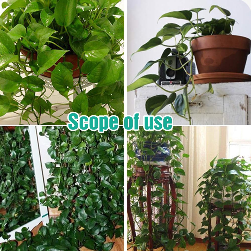 Plant Climbing Wall Fixture Clips, 60/100/150pcs Plant Vine Support Clips for Climbing Plants Vines, Removable Leaf Shaped Retainer Plants Training Wall Clip with Sticker for Indoor Decoration (60)