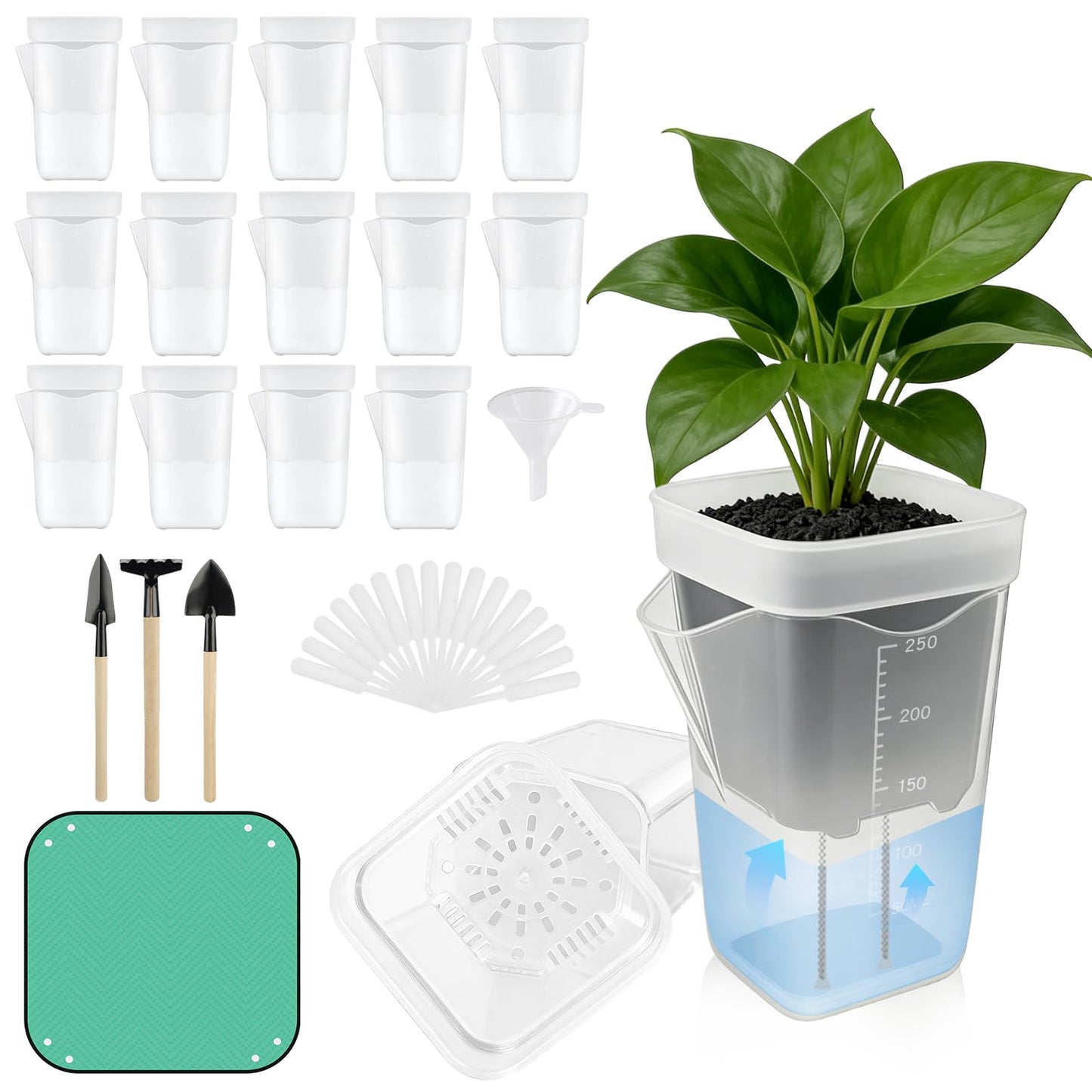 TREWAVE 16 Pack 2.5" Mini Self Watering Pots for Indoor Plants, Small Clear Plastic Planters with Drainage Holes, Propagation Pots for Alocasia Corms, African Violets, and Succulents