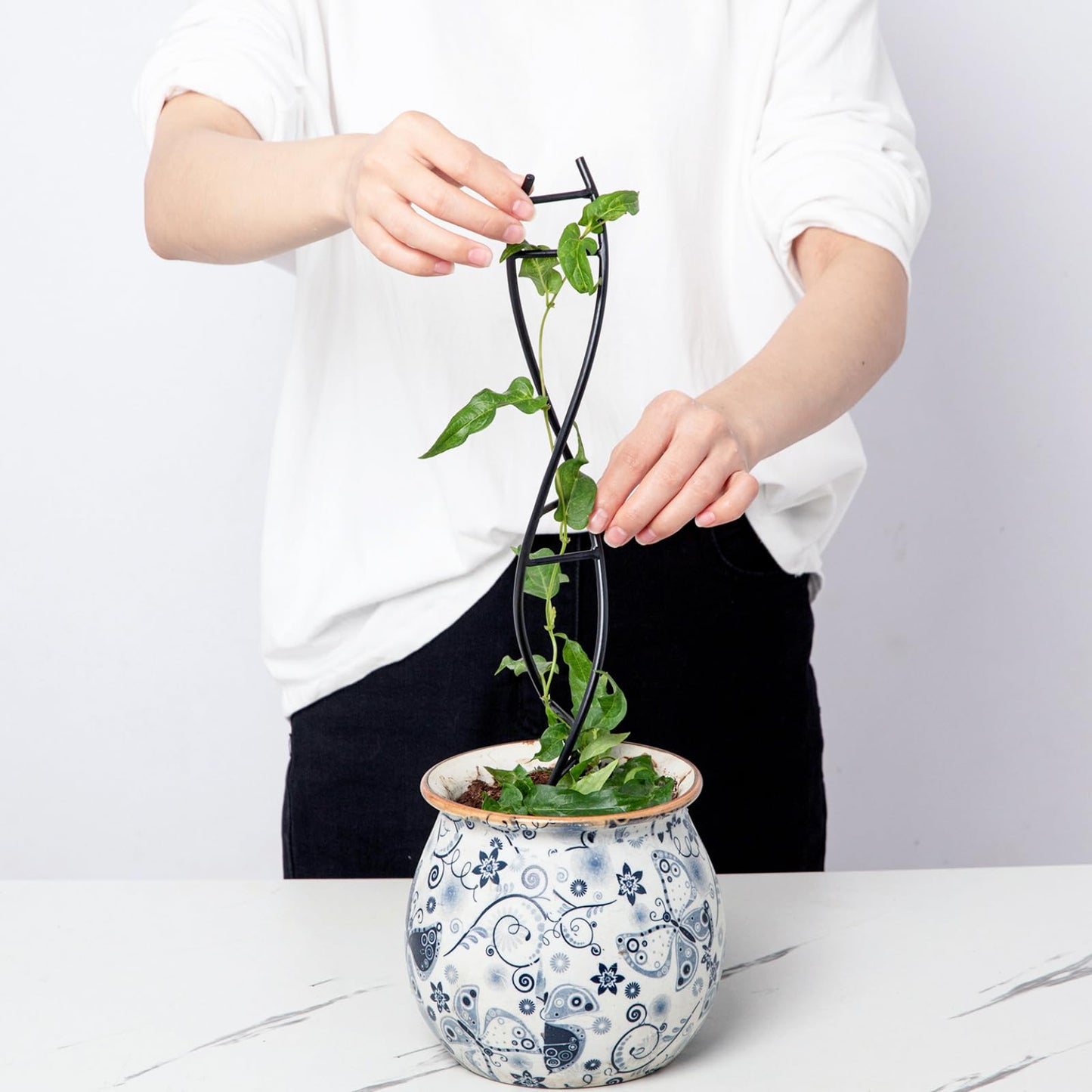 Goooxim DNA Spiral Plant Trellis Indoor - Durable Metal Trellis for Potted Plants, Perfect for Small Houseplant Pots, Ideal for Ivy and Pothos, Space-Saving Vertical Support for Climbing Growth