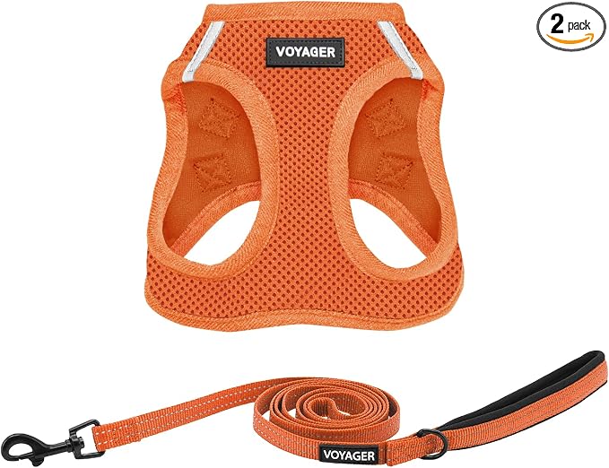 Best Pet Supplies Voyager Step-in Air All Weather Mesh Harness and Reflective Dog 5ft Leash Combo with Neoprene Handle, for Small, Medium and Large Breed Puppies - Orange, X-Large