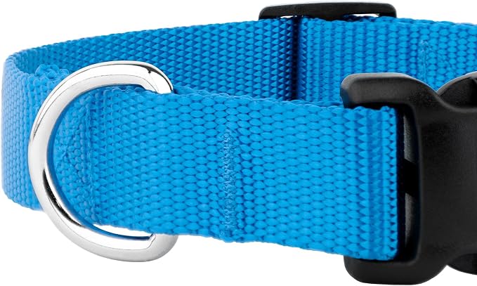 Country Brook Petz - Deluxe Nylon Dog Collar and Leash - 10+ Cool Colors (1 Inch, Extra Large, Ice Blue)