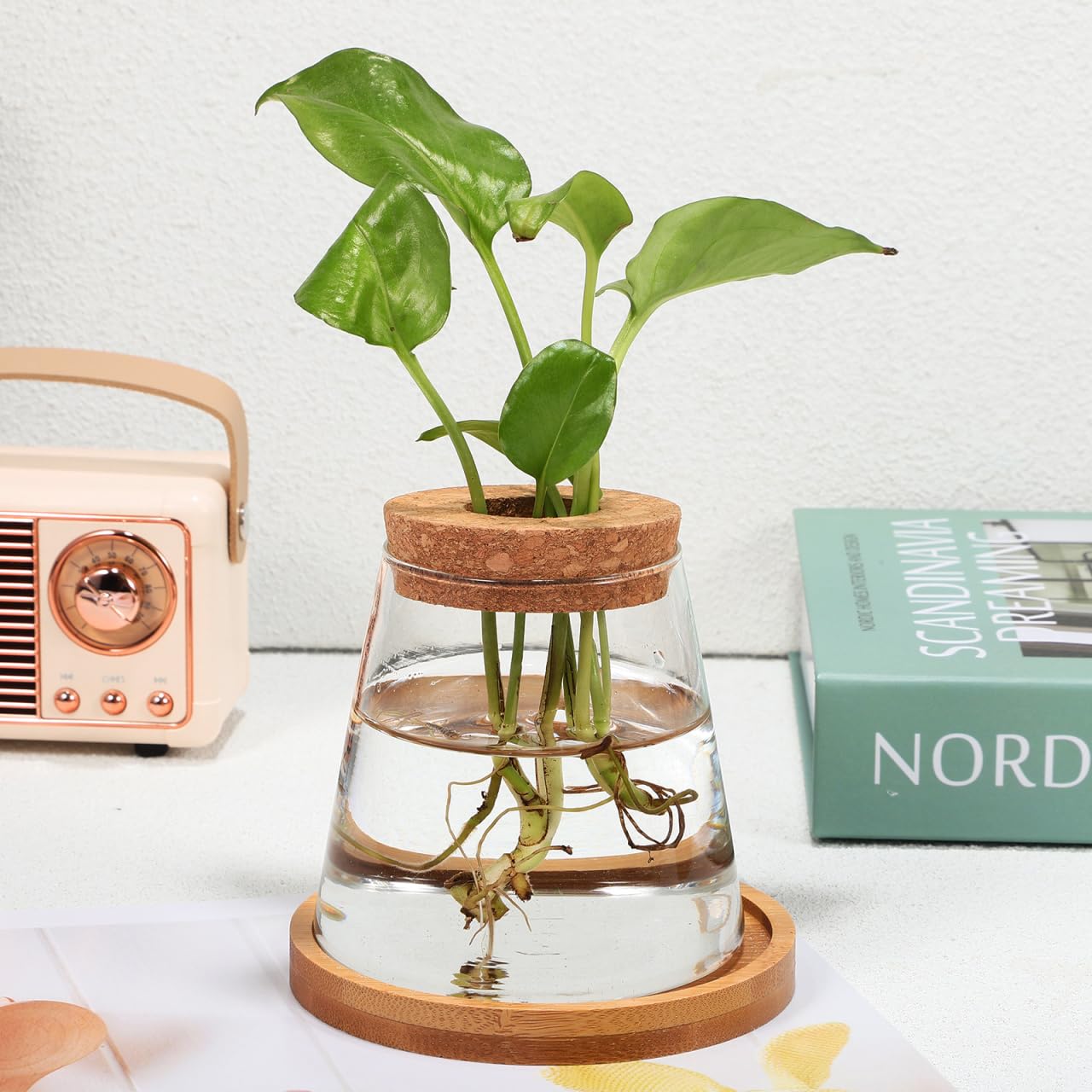 2pcs Glass Plant Propagation Station with Wooden Base Hydroponic Plants Vase for Indoor Decor Glass Terrarium Vase Jars Home Kitchen Decorations and Gifts for Planter Lovers