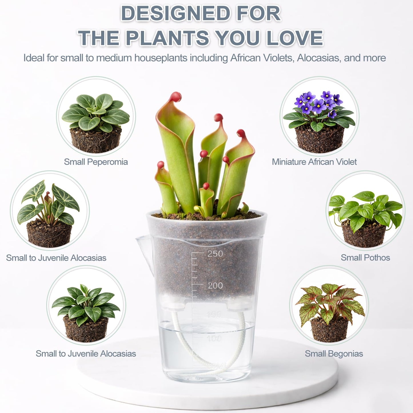 12 Pack 2.5" Small Self Watering Pots for Indoor Plants, Mini Clear Plastic Planters with Water Level Drainage Holes, 12 Plant Labels, Semi-Hydro Propagation Pots for Hoya, African Violets, Alocasia