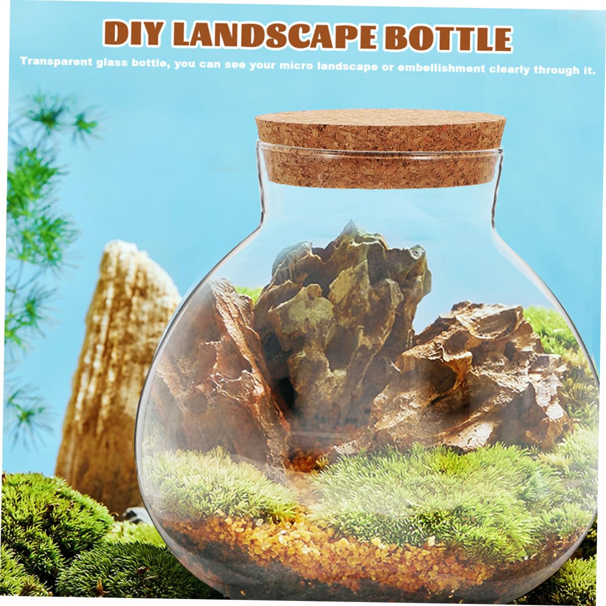 EPIGEIST Round Glass Terrarium Bottle with Cork Stopper Multi Purpose DIY Plant Holder for Succulents Home Decor and Events Micro Landscape Jar