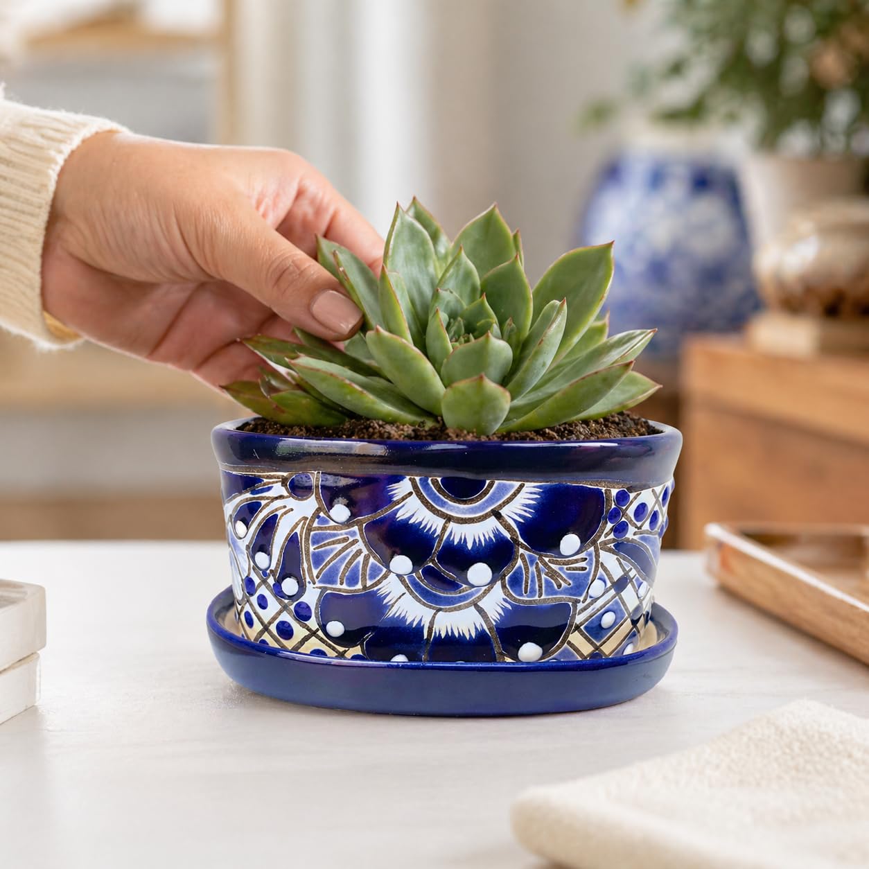 Casa Fiesta Designs Small Ceramic Pot - Flower Planter with Drainage for Cactus Bonsai Succulents Blue and White Ceramic Pot - Desk Size - Maceta Ceramica Maceta Azul Blanco
