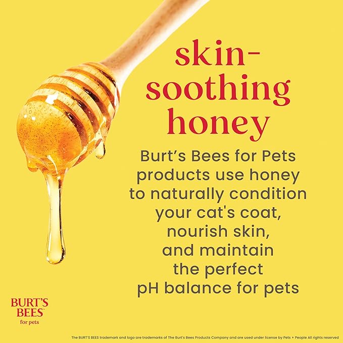 Burt's Bees for Pets Tearless Kitten Shampoo with Buttermilk and Honey, 99% Natural Origin Gentle Cat Shampoo for Sensitive and Itchy Skin, pH Balanced and Fragrance-Free, 10 Fl Oz