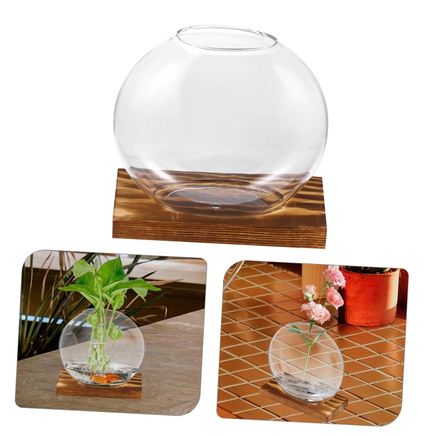 Kisangel 2Sets Clear Glass Planters for Indoor Plants with Base Artistic Propagation Terrariums for Home Office and Exhibition Decor Stylish Hydroponic Vases
