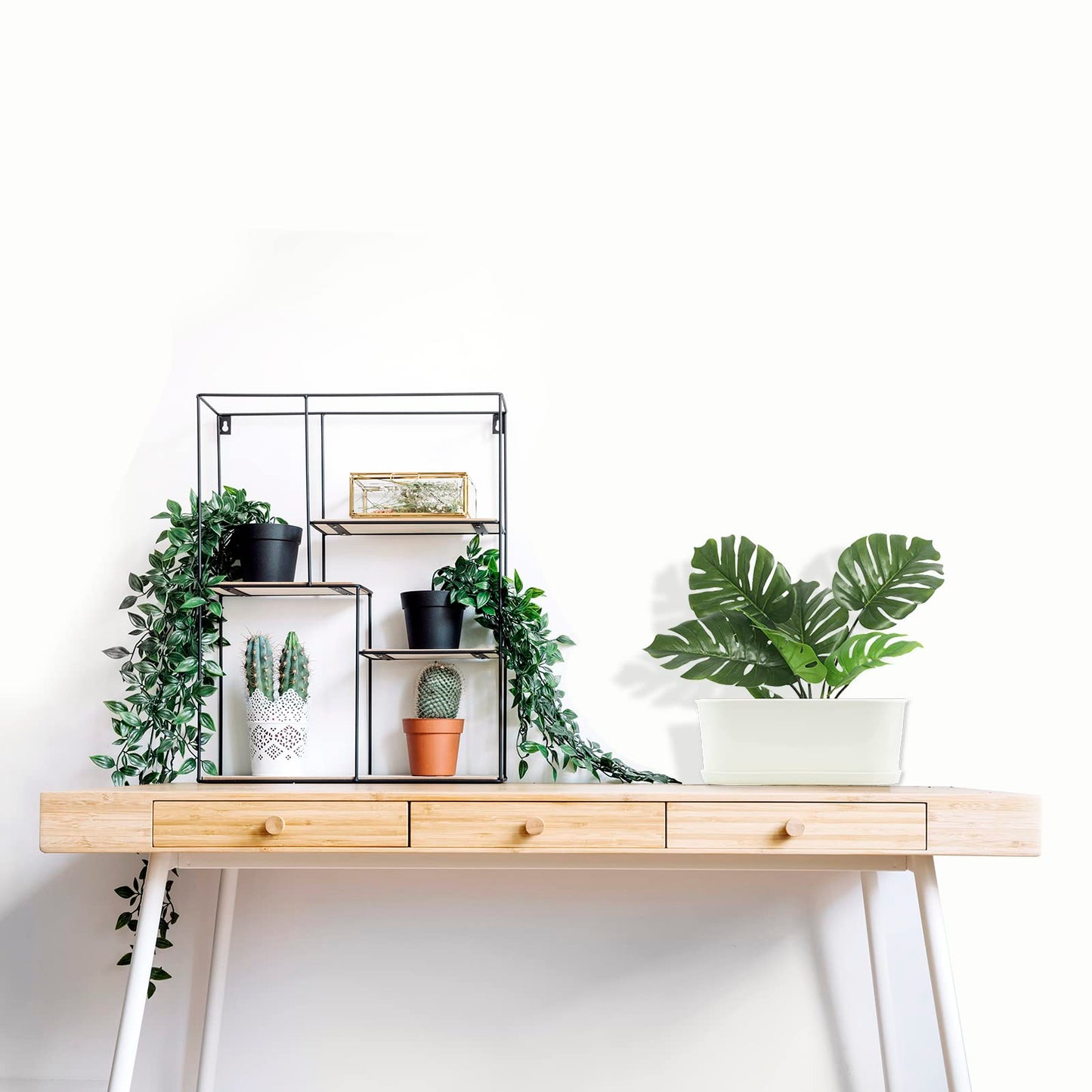 SORANGEUN 10-Pack White Herb Planter Box with Drip Trays, 8.5 Inch Small Oval Window Planters for Kitchen Sill, Indoor Outdoor, Perfect for Basil, Mint, Succulents, Flowers