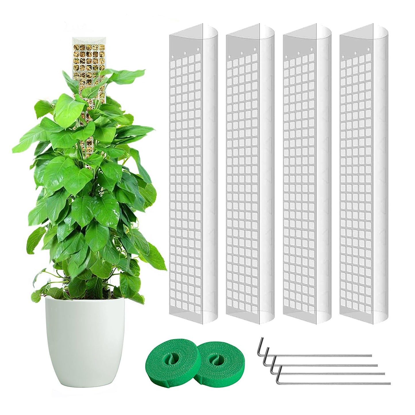 4 Pack 24 Inch D-Shaped Clear Plastic Moss Pole for Plants Monstera, Stackable Climbing Plant Support for Monstera, Pothos, Philodendron, Open Design for Sphagnum Moss