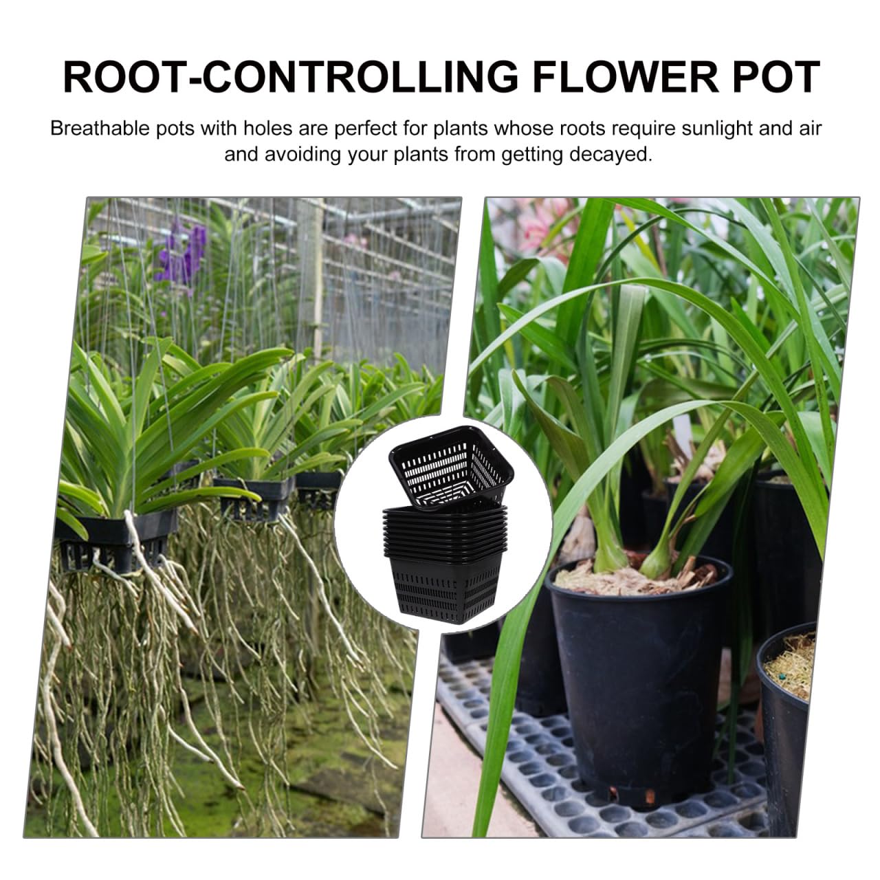 UPKOCH 10 Pack Square Net Pots for Hydroponics, Thick Plastic Orchid Pots with Holes, Black Mesh Slotted Cups for Pond Plant Drainage