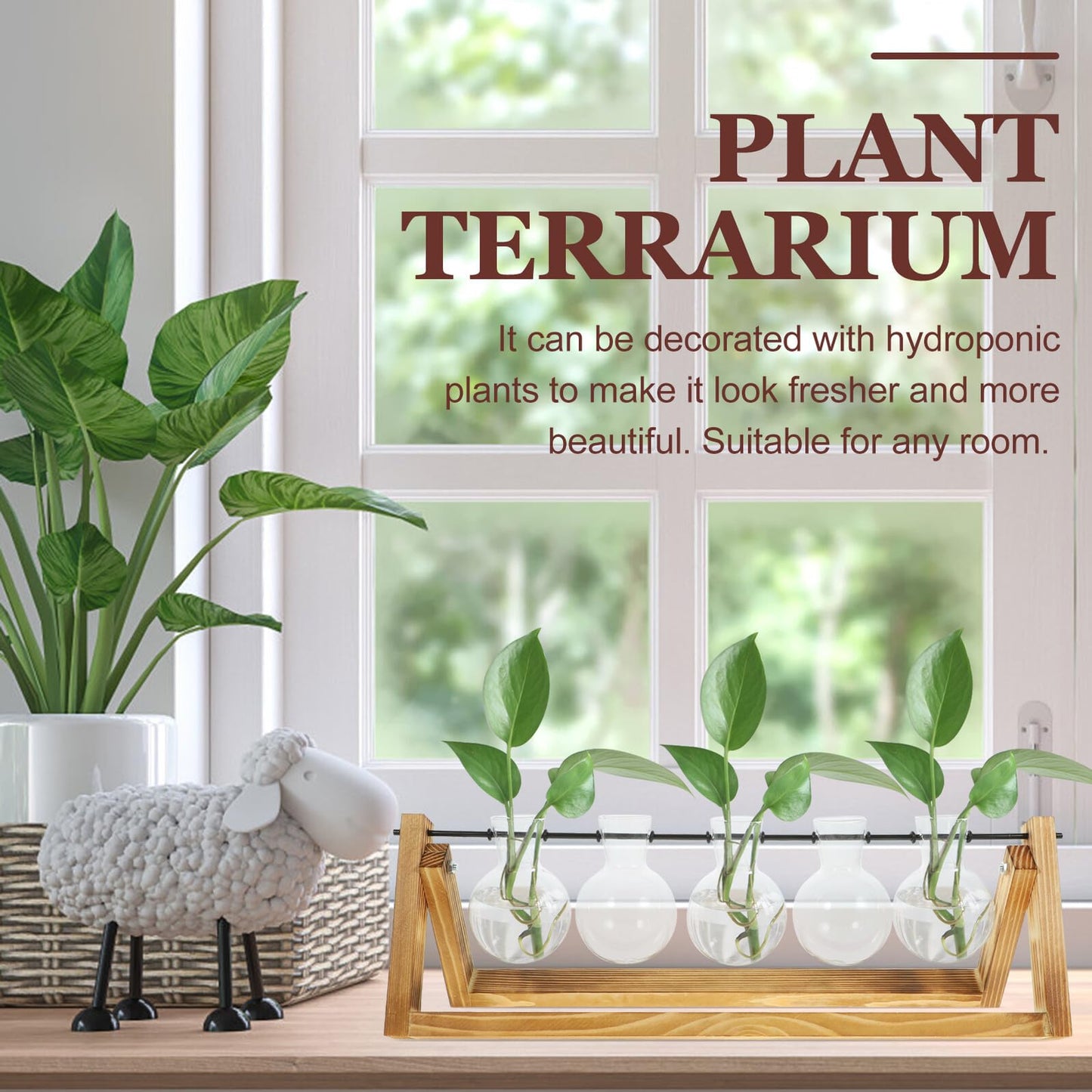 Toyvian Glass Propagation Vases Set of 5 with Wooden Stand, Glass Containers for Hydroponic Plants and Desktop Greenery Decoration, Indoor Plant Terrarium Station for Home Garden
