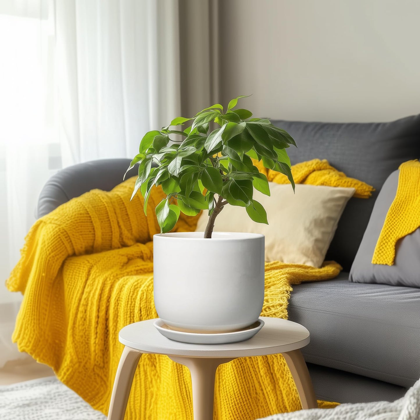 SUNPOTFOR Ceramic Plant Pot - Modern 8 Inch Round Planter for Indoor Outdoor Plants with Drainage Hole and Saucer, Home House Room Office Decor, White