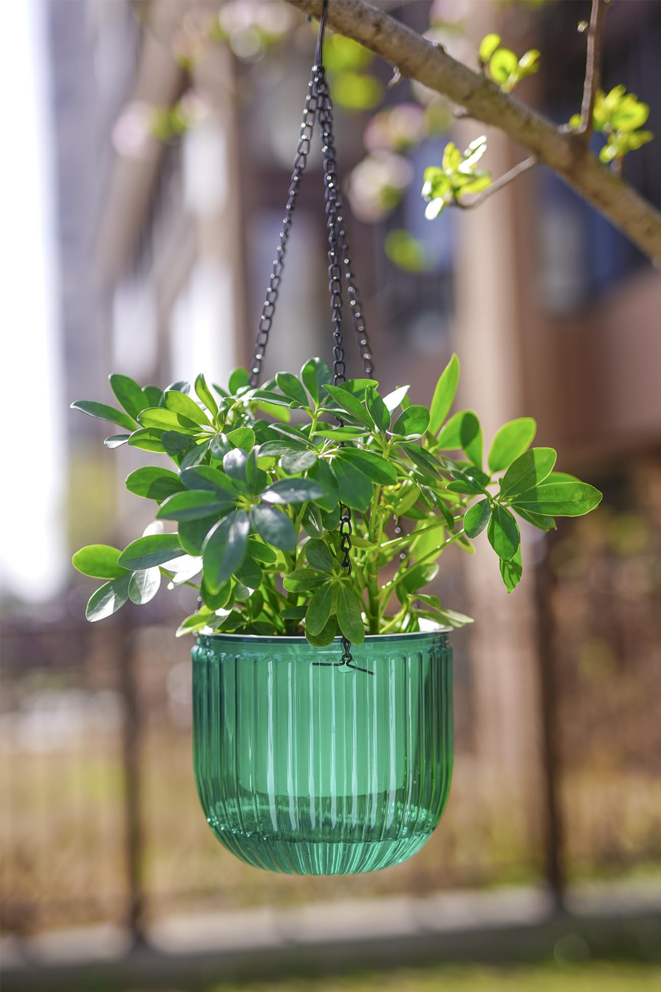 Melphoe 2 Pack Self Watering Hanging Planters Indoor Flower Pots, 6.5 Inch Outdoor Hanging Plant Basket, Hanger with 3Hooks Drainage Holes for Garden Home (Emerald + Gray)
