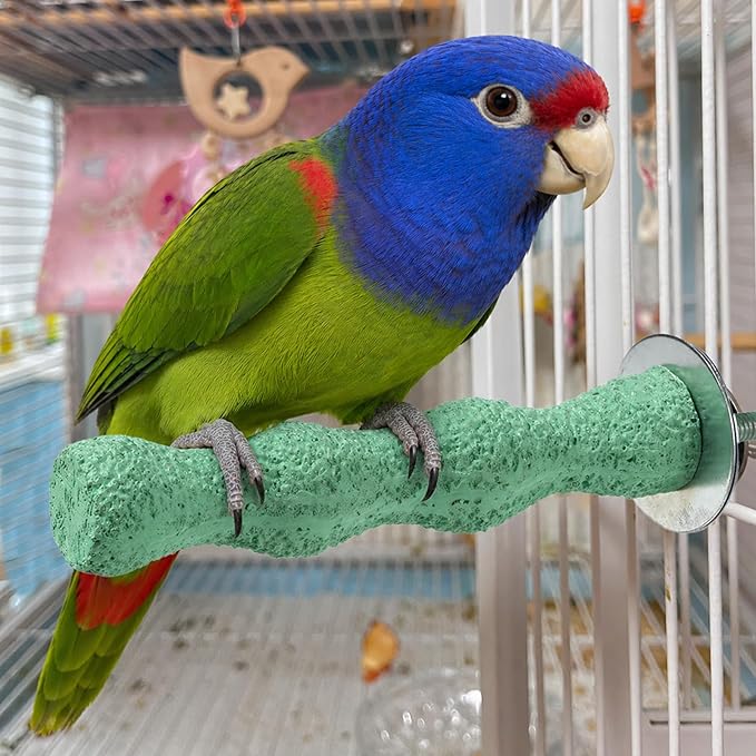 2 PCS Bird Beak Grinding Stone Bird Parrot Cage Perch Stand Anti-Slip Nail Trimming Stick Parrots Perch Resin Beak Grinder Stone Foot Claws Trimmer Accessories for Parrot Budgie Cockatiel (Green)