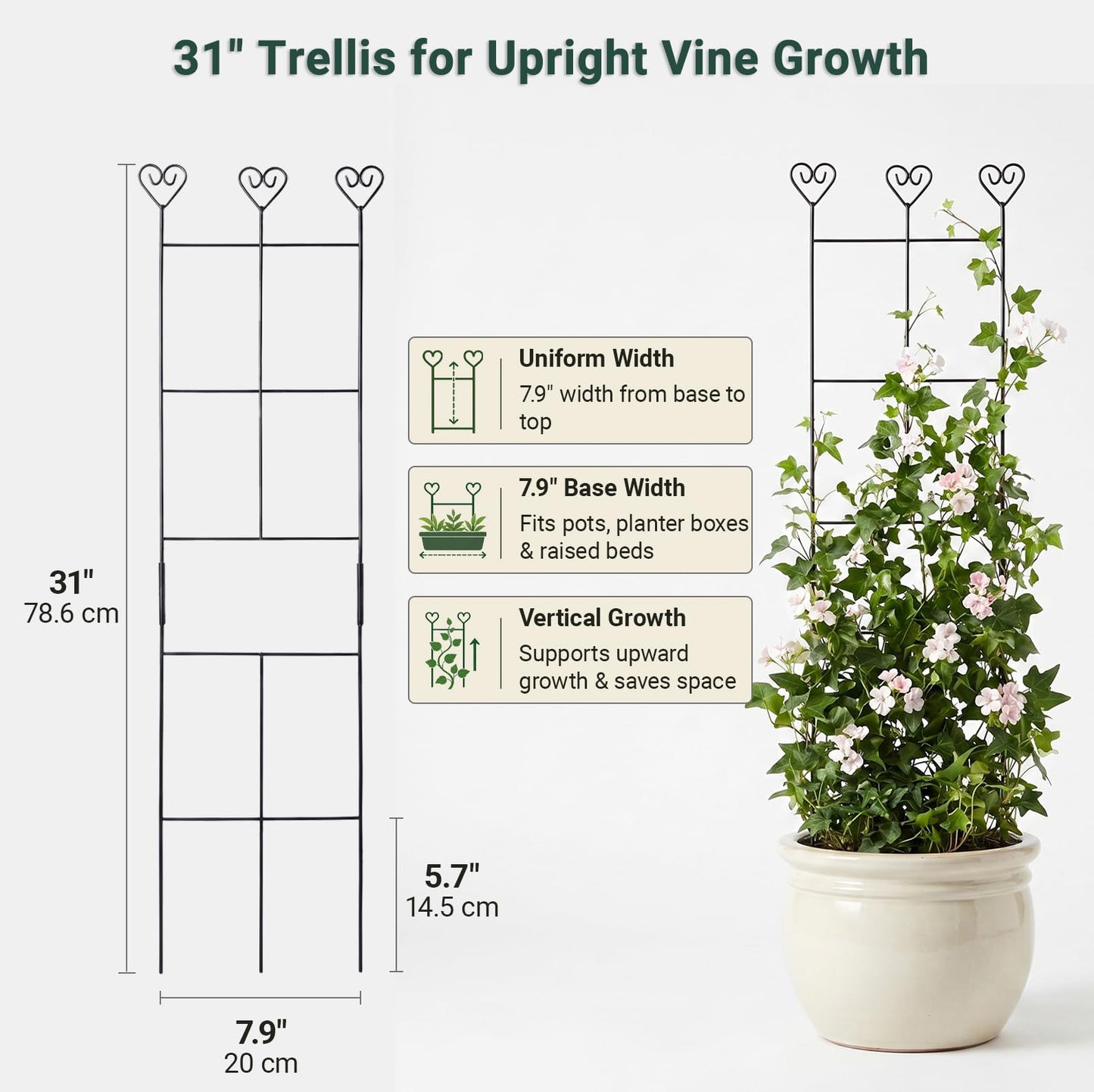 2 Pack 30'' Plant Trellis for Climbing Plants Indoors, Metal Garden Trellis for Potted Houseplant, Rustproof Plant Support for Ivy, Vines, Pothos, Hoya and Flower, Black