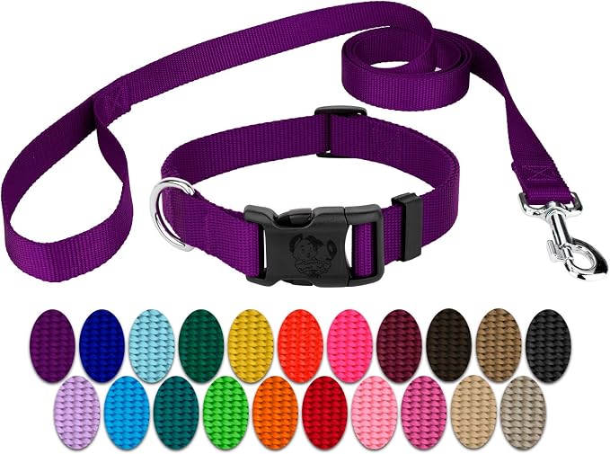 Country Brook Petz - Everyday Nylon Dog Collar and Leash - 10+ Cool Colors (3/8 Inch, 3XS, Purple)